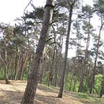 img004