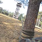 img005