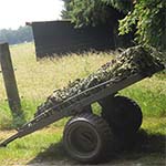 img003
