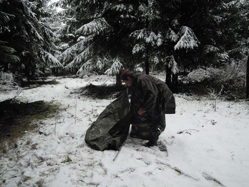 img006