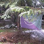 img007