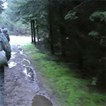 img006